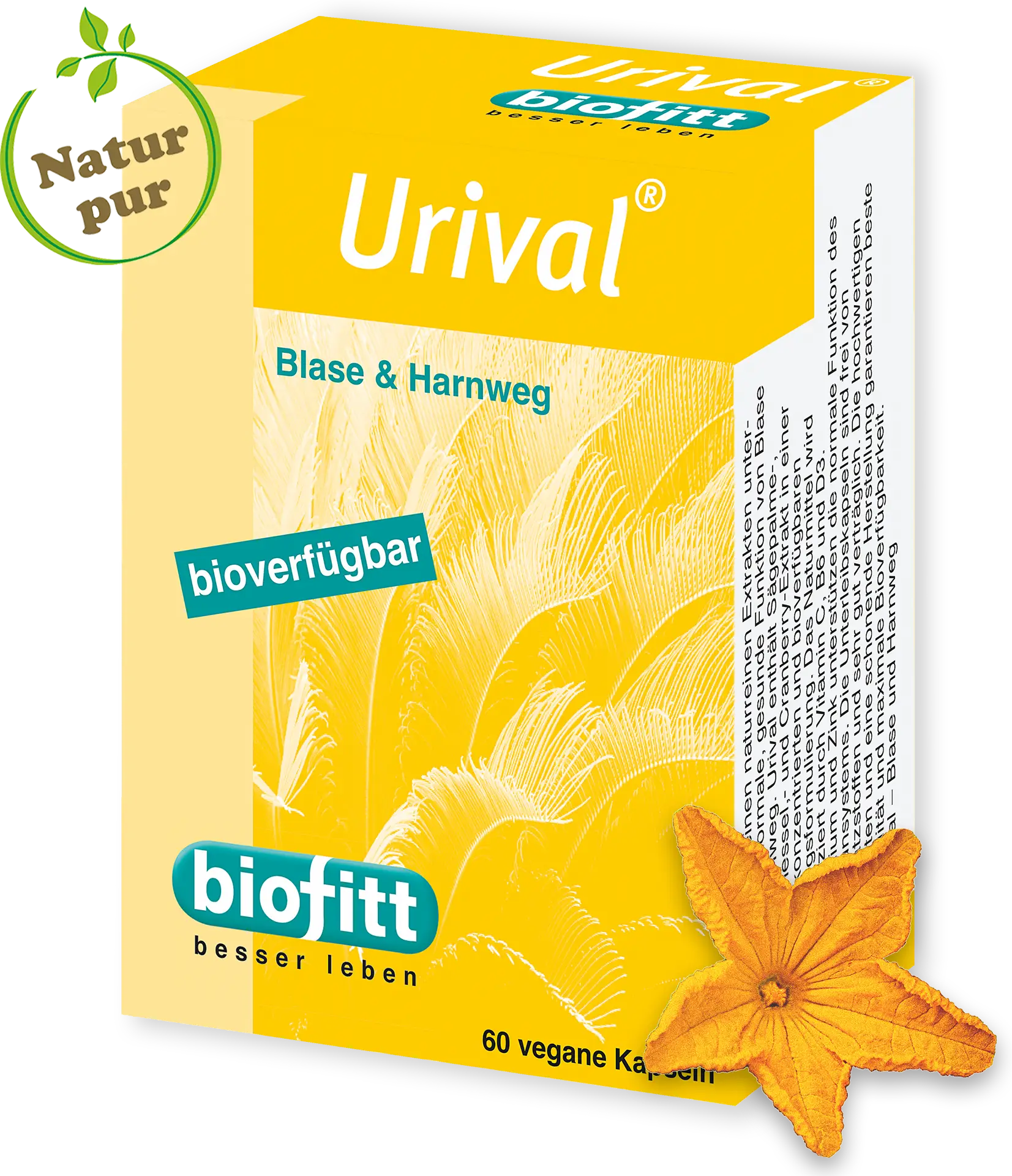 Urival Blase und Harnwege – pflanzliche Kapseln | biofitt Urival