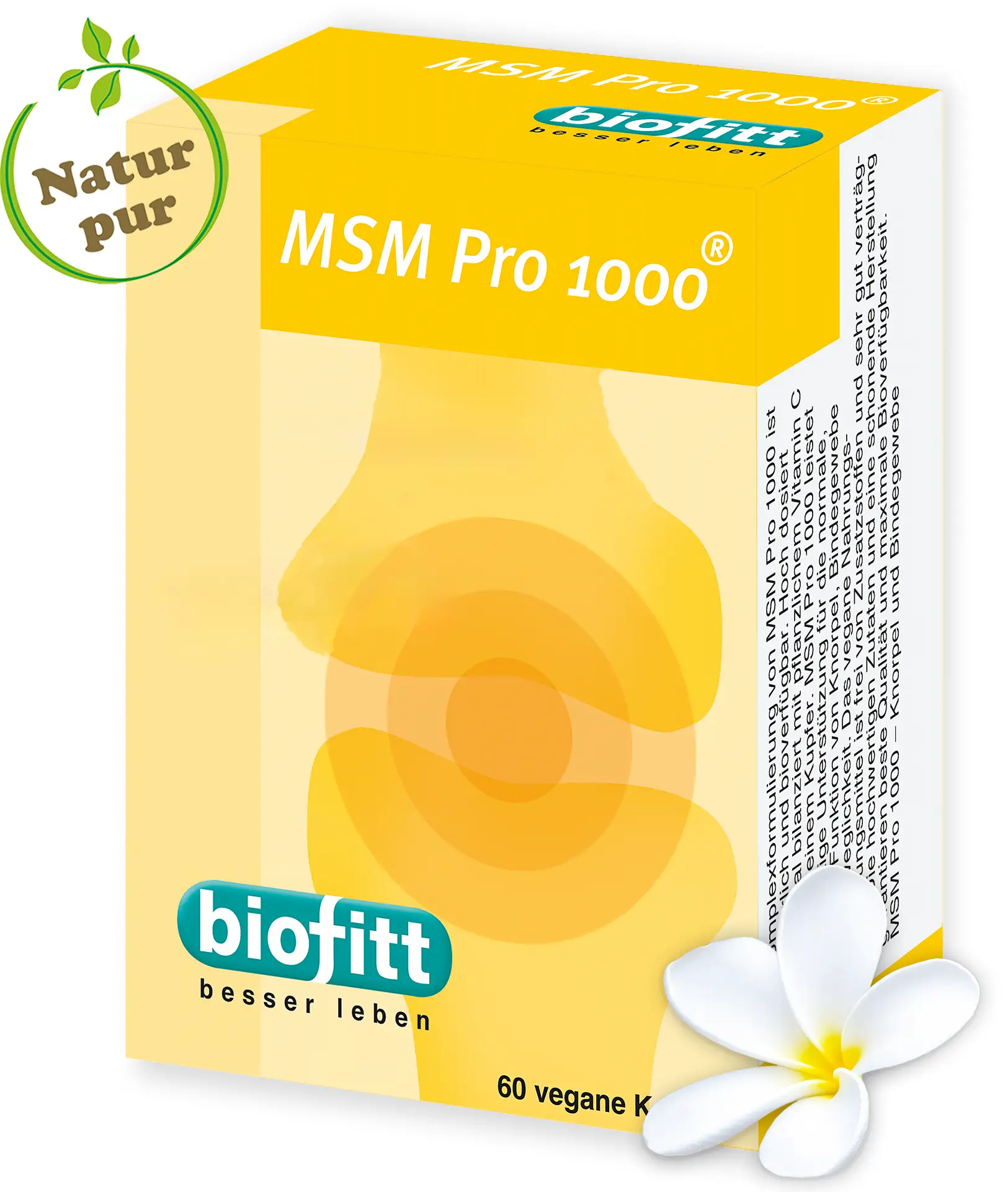 MSM-Pro-1000 – MSM Kapseln – Produktabbildung Vorderseite