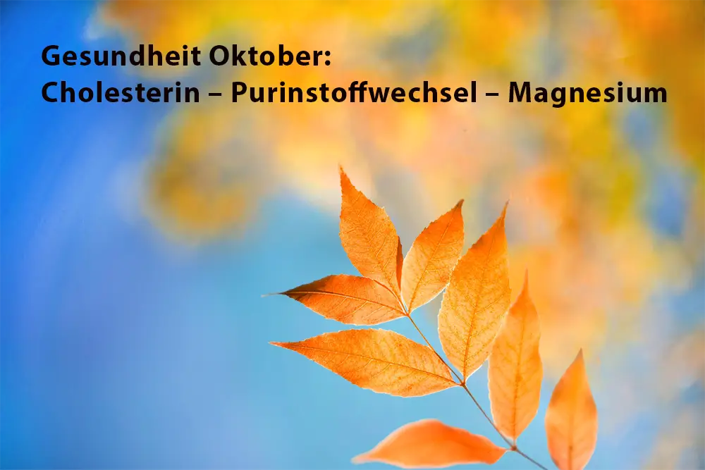Nahrungsergänzungsmittel Oktober Mit Nahrungsergänzungsmittel durch den Oktober