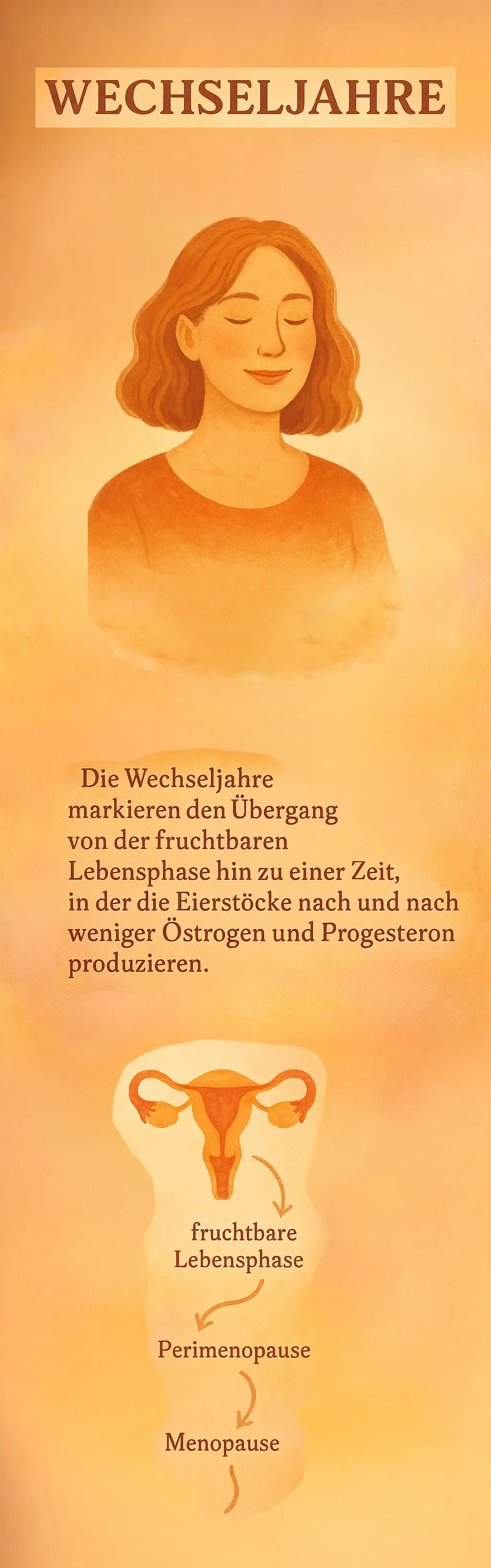 Wechseljahre erklärt in einer Grafik