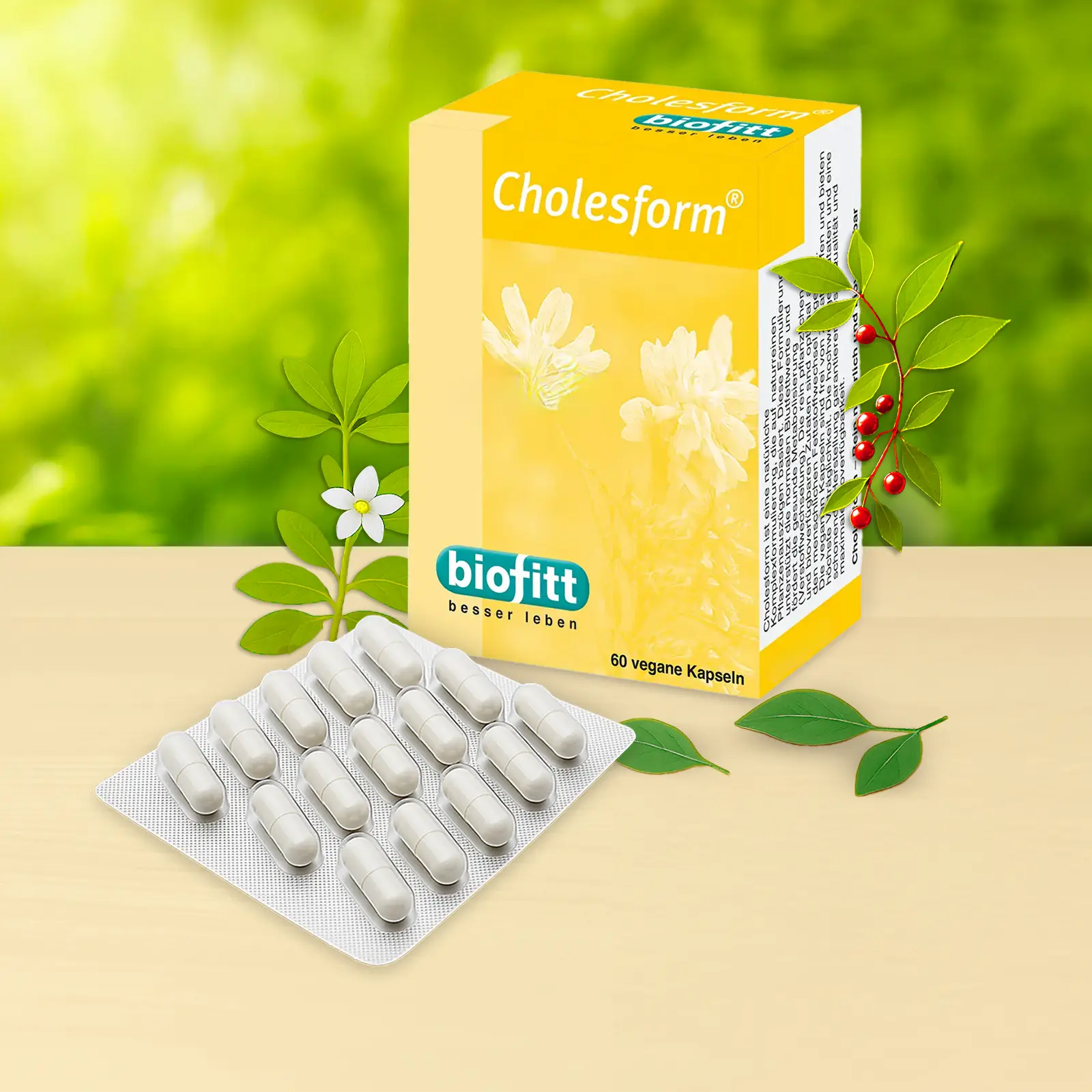 Cholesform – Illustration zu pflanzlichen Inhaltsstoffen und Mikronährstoffen