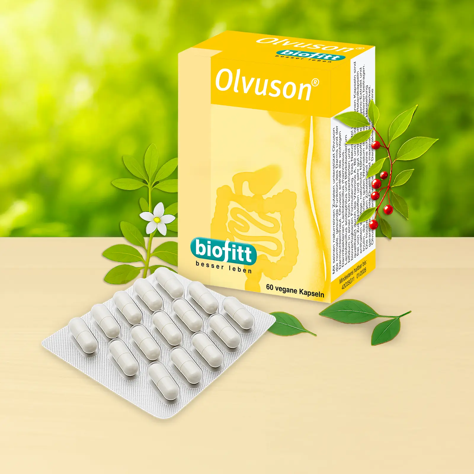 Olvuson Darmflora-Kapseln von biofitt – Produktabbildung