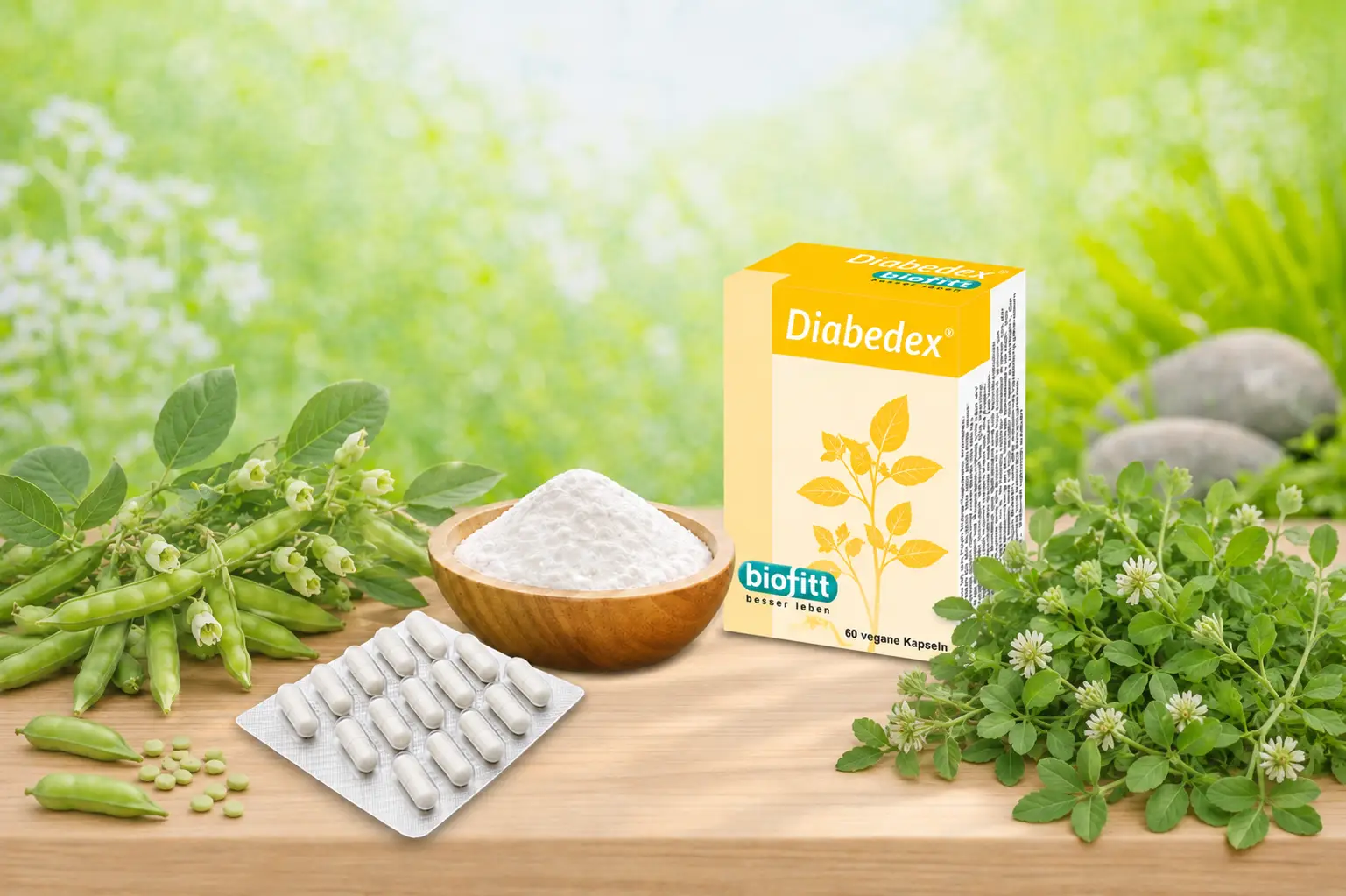 Diabedex Packung mit Kapselblister, Bockshornklee, Guarbohne und Guarkernpulver