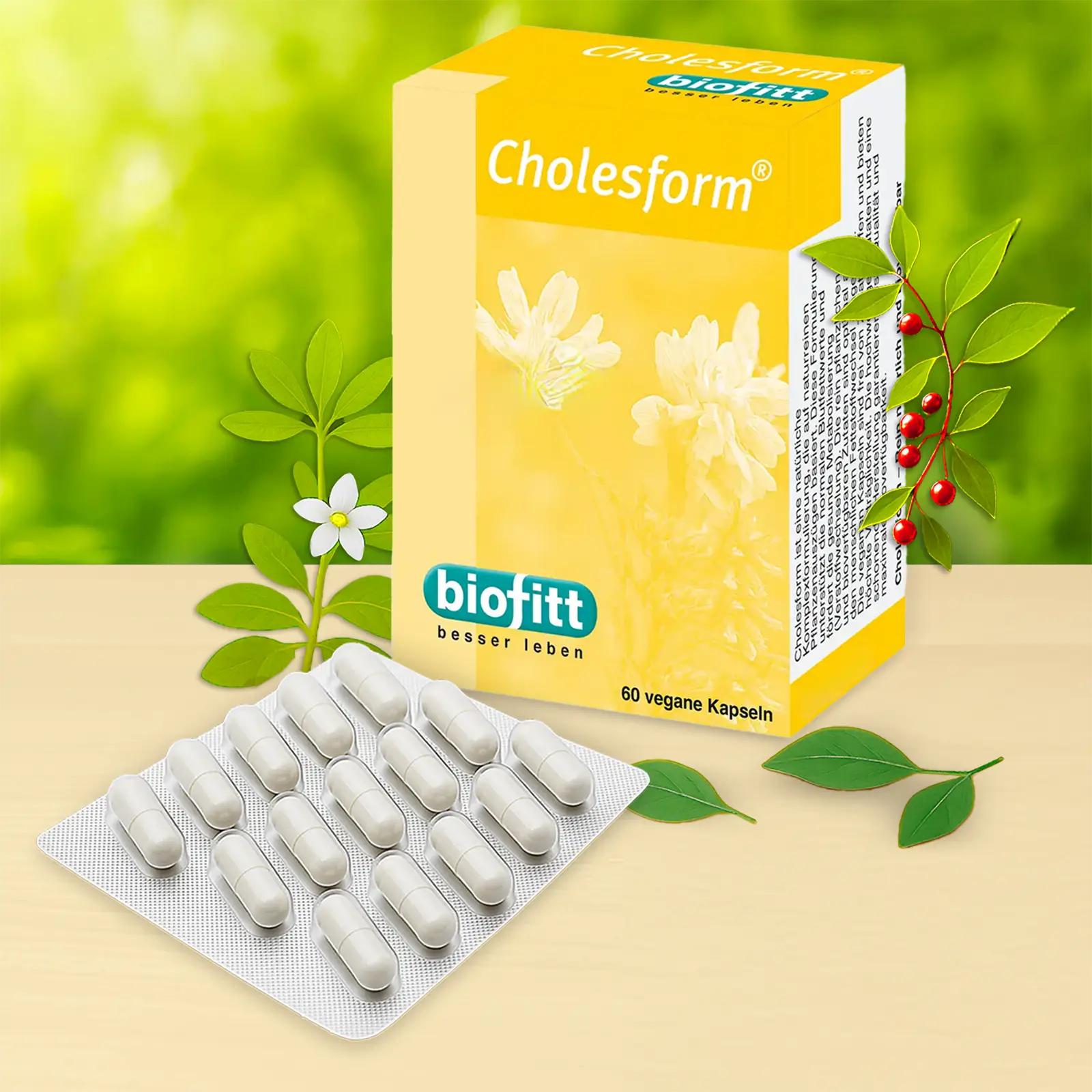 Cholesform – Illustration zu pflanzlichen Inhaltsstoffen und Mikronährstoffen