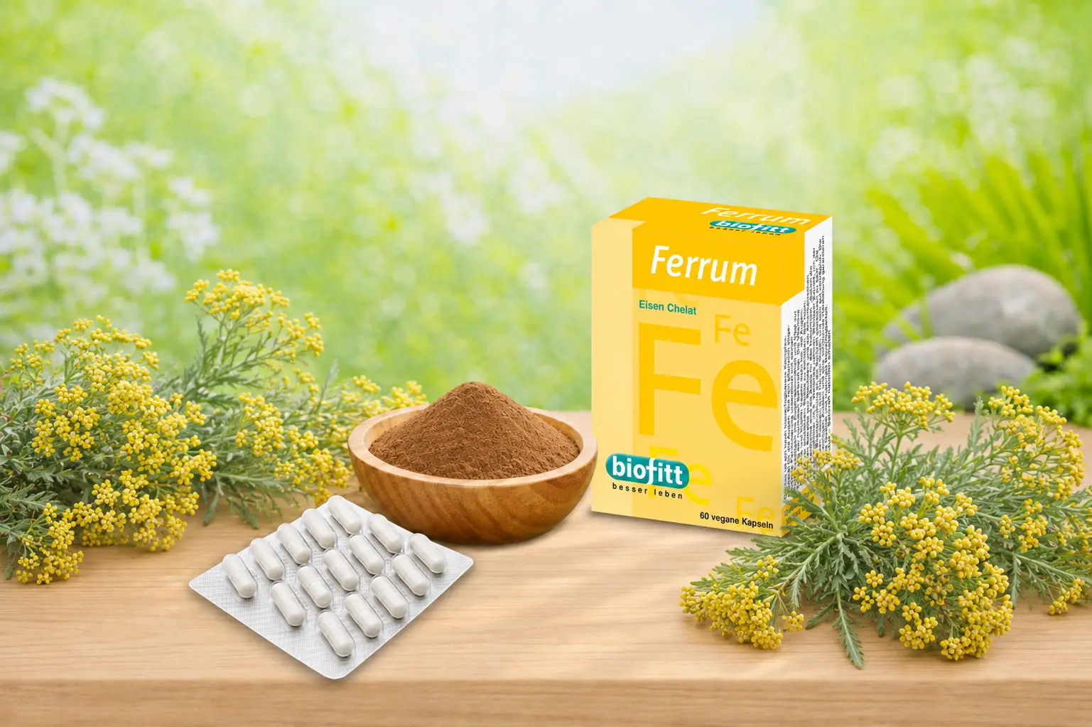 Ferrum Eisenpräparat mit Kapselblister, Rohstoffschale und gelb blühenden Pflanzen