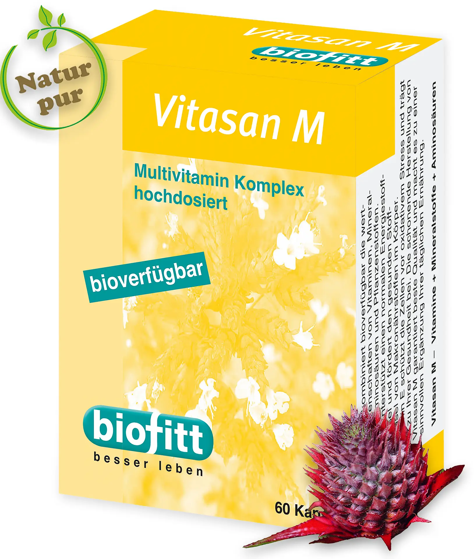 Vitasan M Multivitamin Kapseln von biofitt in der Produktverpackung
